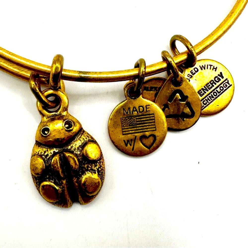 Alex and Ani Ladybug Bracelet Bangle Charm gold Casual Retro Contemporary